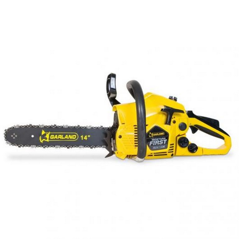 MONTANA FIRST MONTANA FIRST